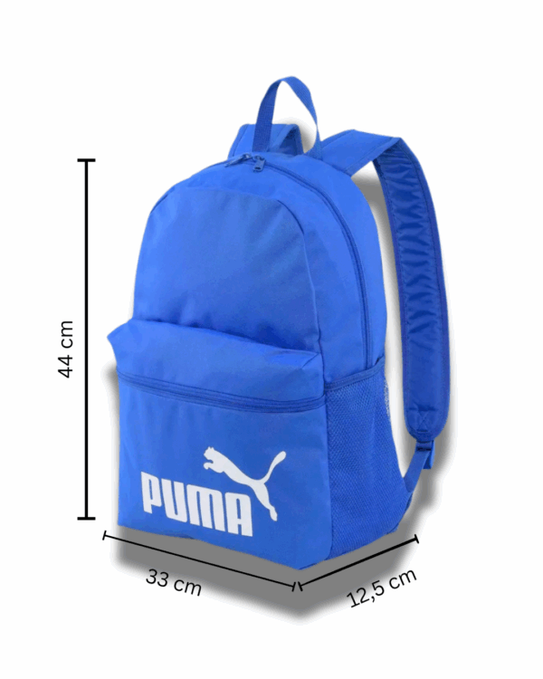 33 cm